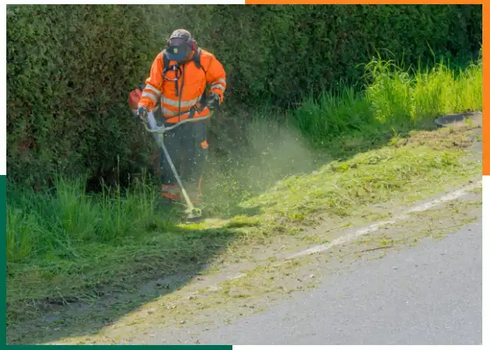 Débroussaillage Sélestat